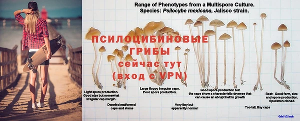 каннабис Белоозёрский